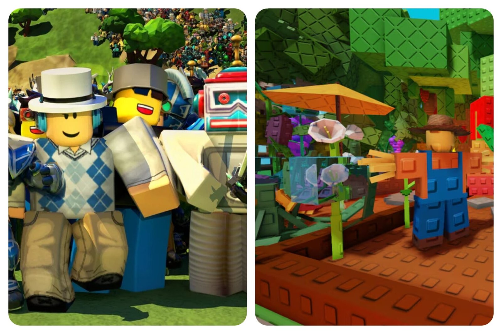 All Flower Plants in Grow a Garden Roblox and How to Get Them