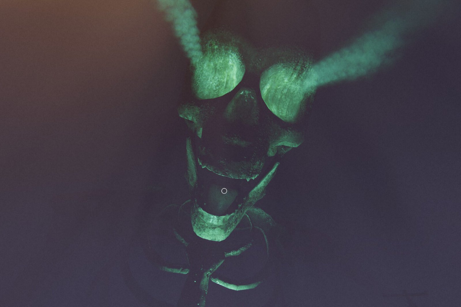 Phasmophobia: How To Do The Ghost In The Machine Easter Egg On Nell’s Diner