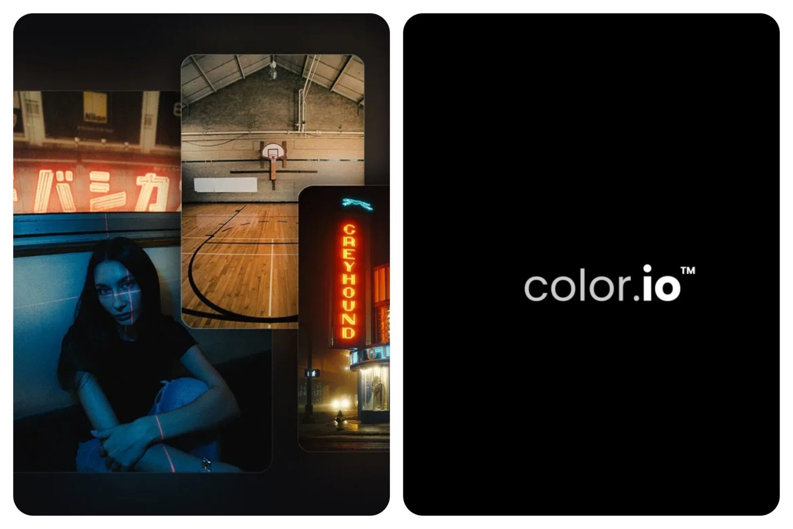 Color.io to Shut Down at End of 2025 as Founder Steps Into New Role