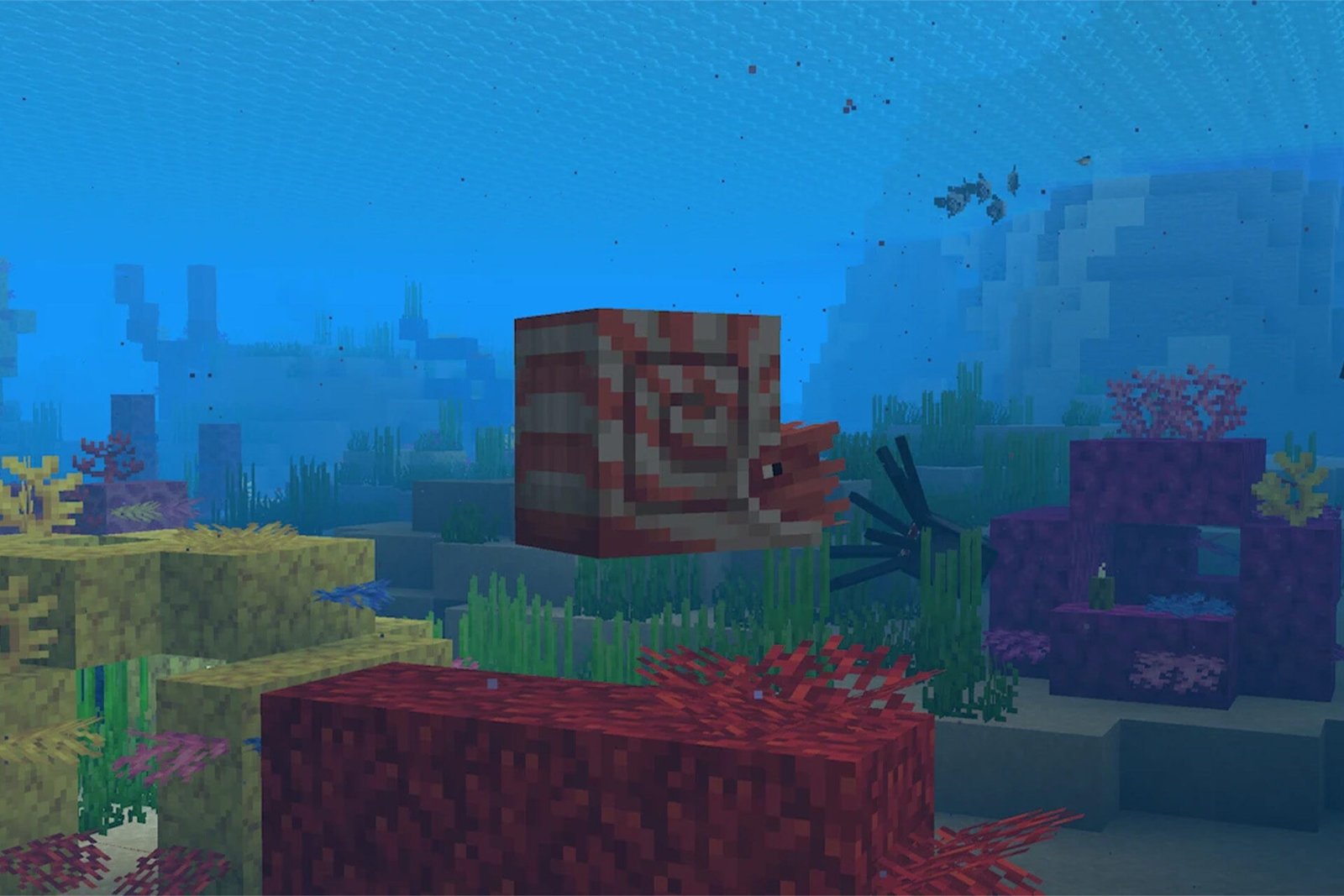 Minecraft: How to Tame Nautilus