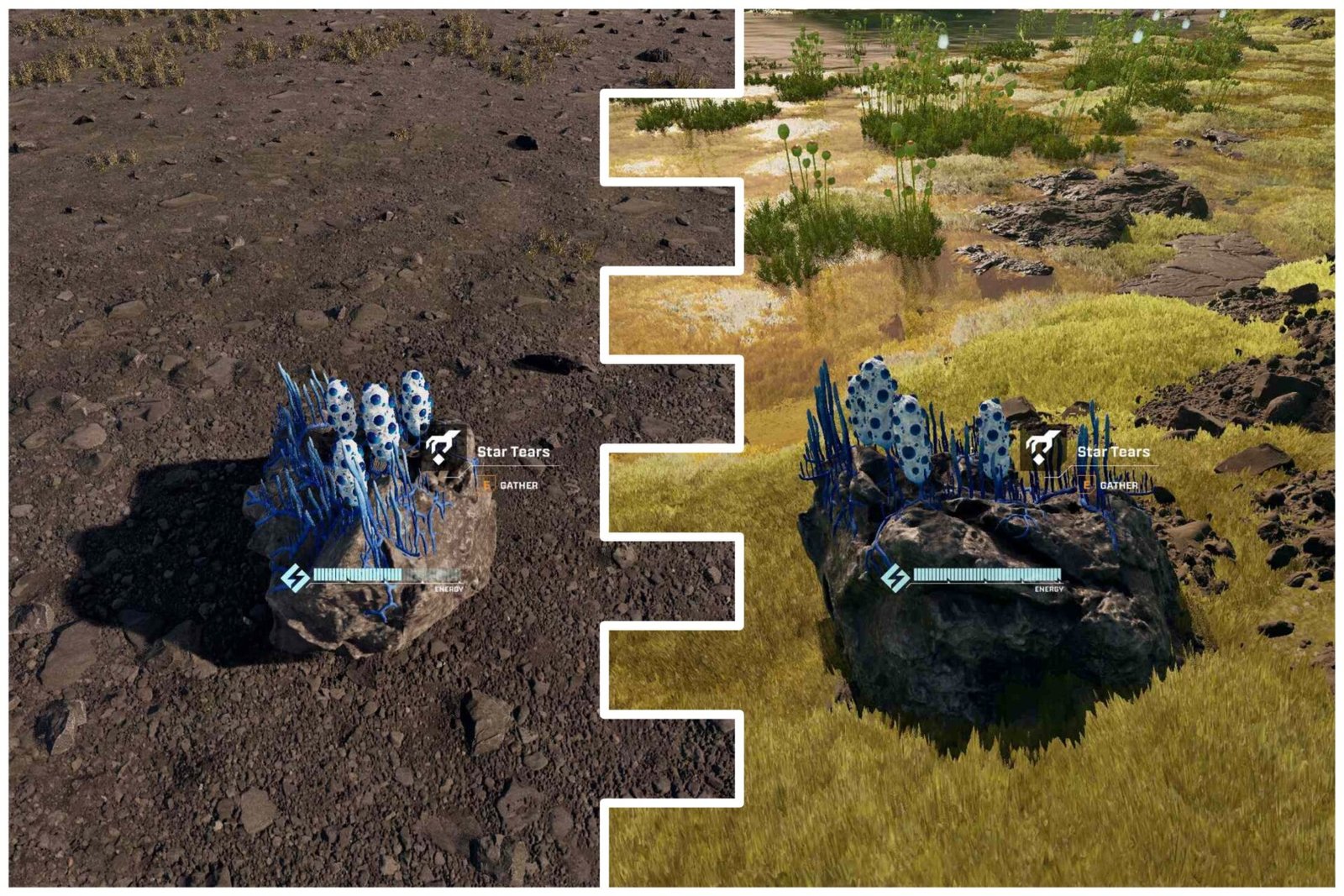 StarRupture: How To Get Star Tears