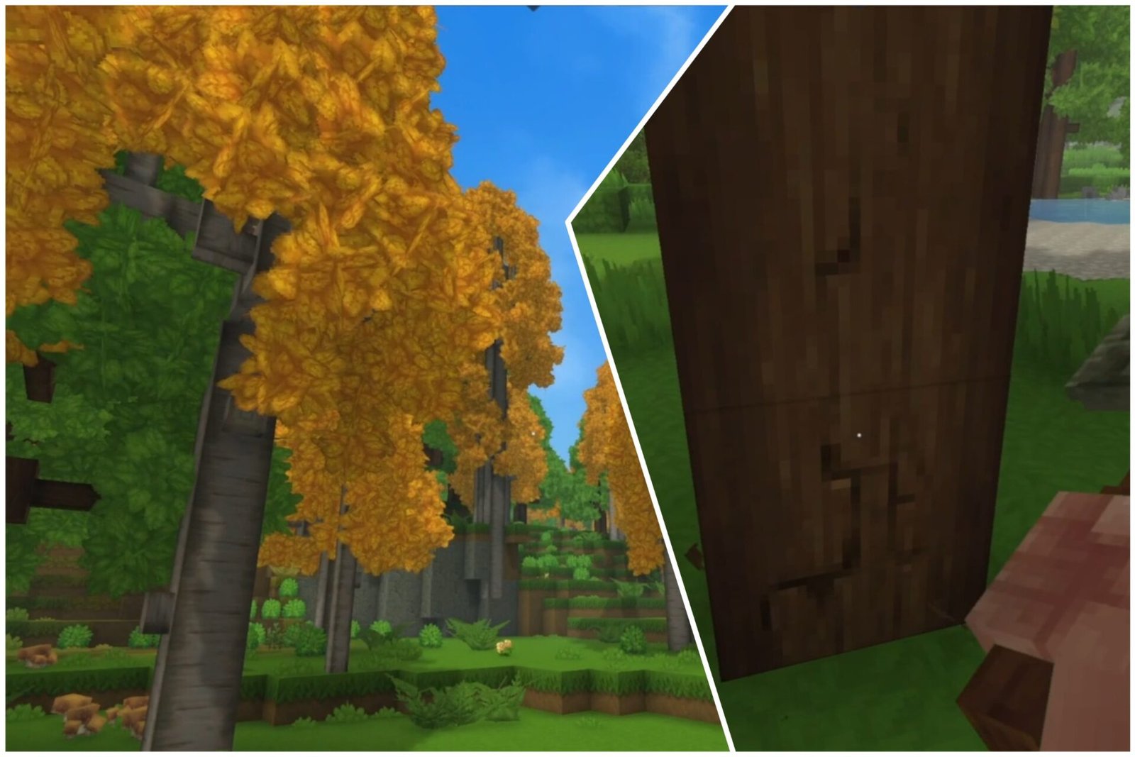 Hytale: How to Get Softwood