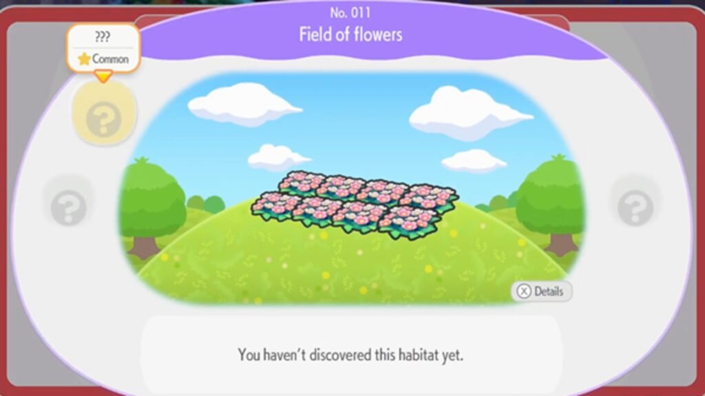 Field of Flowers