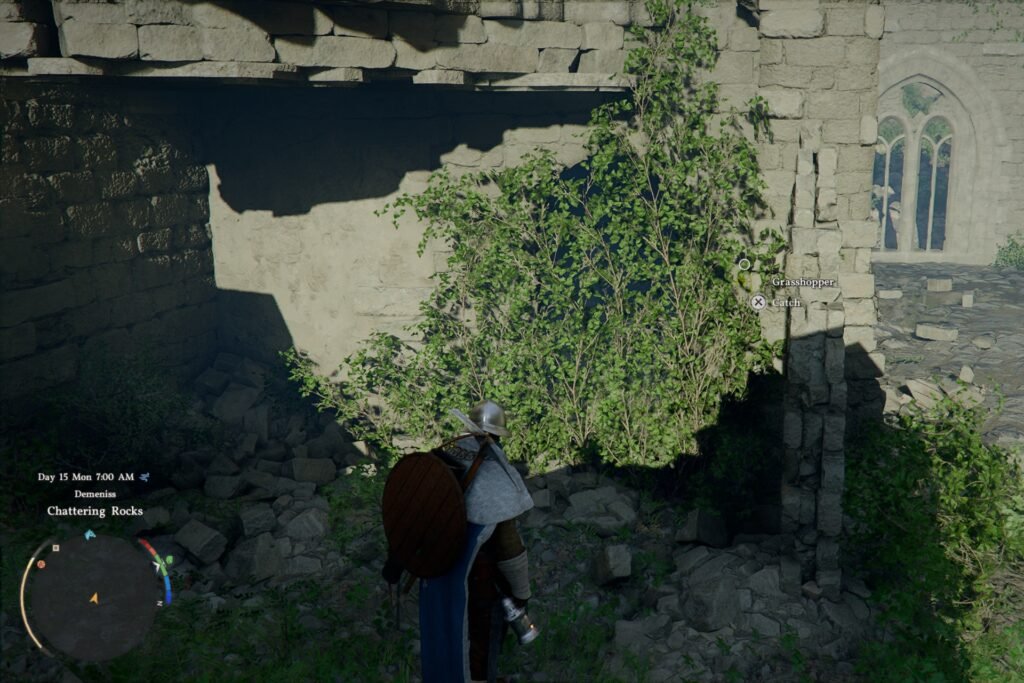 Beyond these vines in the Chattering Rocks is the Frostcursed Plate Helm in Crimson Desert.