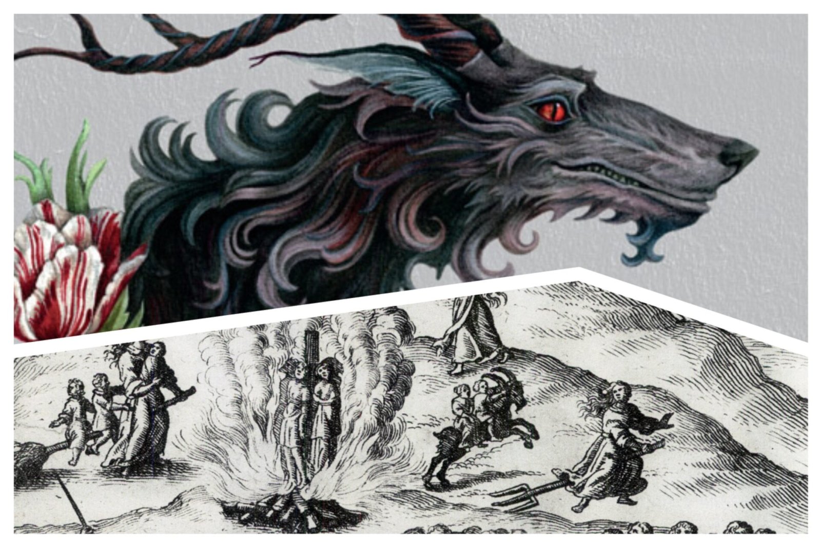 The Red Winter Will Have An “Indirect” Sequel Says Cameron Sullivan