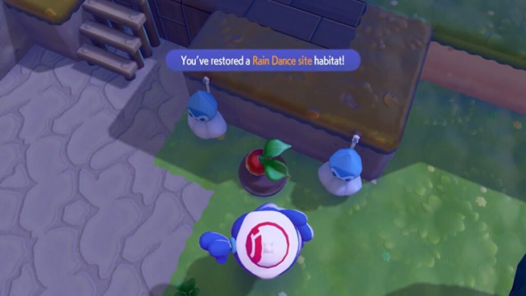 Restore Rain Dance Site Habitat