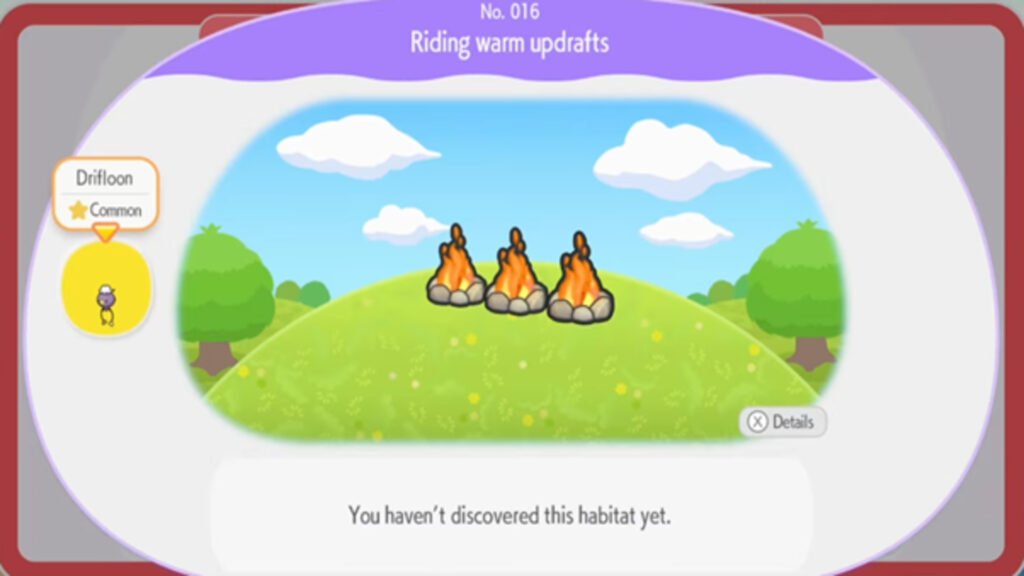 Riding Warm Updrafts Habibat